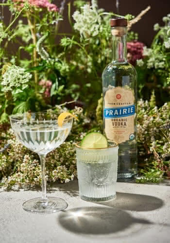 a clear cocktail with a lime next to a vodka bottle